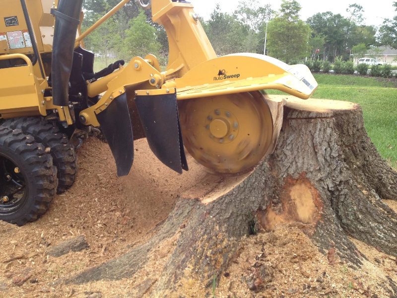 Stump Removal in Sparks, Nevada