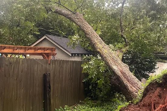 Tree Service materials and craftsmanship in Sparks