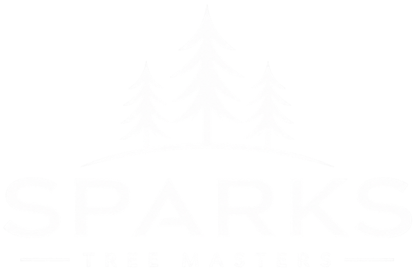 Sparks Tree Masters